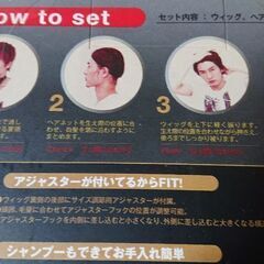 男性用  フルウィッグの画像