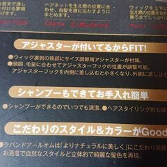 男性用  フルウィッグの画像