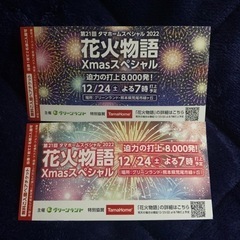 三井グリーンランド 12月24日 花火チケット2枚セット