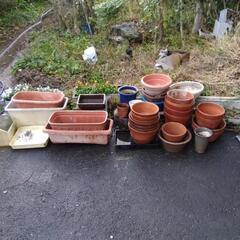 植木鉢、プランター