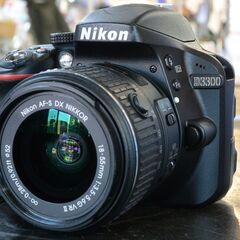 Nikon D3300 デジタル一眼レフカメラ 標準ズームキット 【愛品倶楽部柏店】の画像