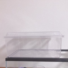 プラスチック製飼育ケース/水槽/爬虫類/両生類/熱帯魚/小動物/...