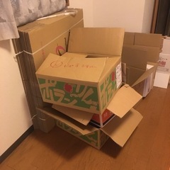 段ボール箱20枚
