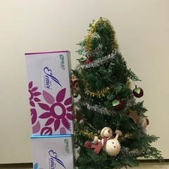 処分しますのでお早めに☆クリスマスツリー　りんご以外のオーナメント付きの画像
