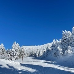 明日17日(土)箕輪スキー場で滑ります😊