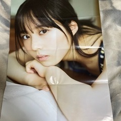 乃木坂46佐藤璃果/ももいろクローバーZ両面ポスター/保存状態良...