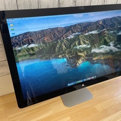 Apple Thunderbolt display