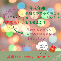 好評につき第二弾！毛穴の大掃除＆お手入れ　無料！　先着３名限り