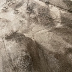 ラグ　ニトリの画像