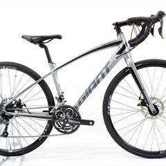 GIANT 「ジャイアント」 ANYROAD 3 2019年モデ...