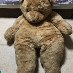 クマのぬいぐるみ
