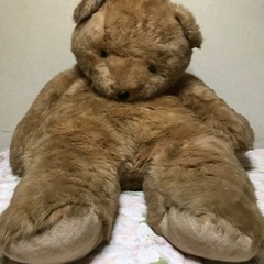 クマのぬいぐるみの画像