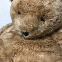 クマのぬいぐるみの画像