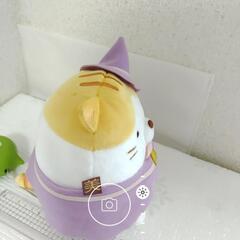 《レア》すみっコぐらしのぬいぐるみの画像