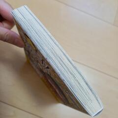私が言うとおりになる　1の画像