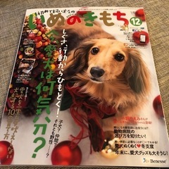 いぬのきもち　2015.8-12月号　2016.1月号　6冊　Benesseの画像