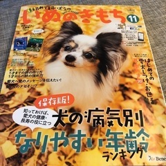 いぬのきもち　2015.8-12月号　2016.1月号　6冊　Benesseの画像