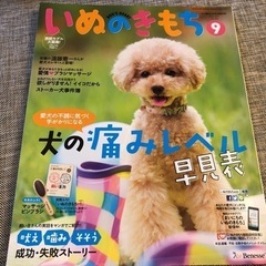 いぬのきもち　2015.8-12月号　2016.1月号　6冊　Benesseの画像
