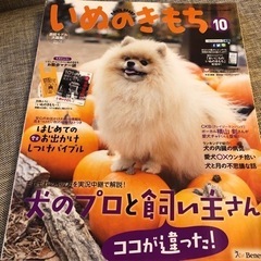 いぬのきもち　2015.8-12月号　2016.1月号　6冊　Benesseの画像