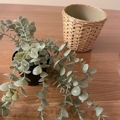 IKEA FEJKA フェイカ イケア 観葉植物 