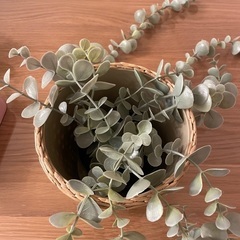 IKEA FEJKA フェイカ イケア 観葉植物 の画像