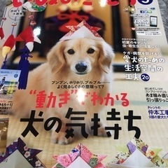 いぬのきもち　2016.2-7月号　Benesseの画像