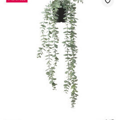 IKEA FEJKA フェイカ イケア 観葉植物 の画像