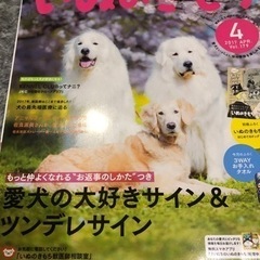 いぬのきもち　Benesse 2016.9-11月号　2017.3-5月号の画像