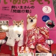 いぬのきもち　Benesse 2016.9-11月号　2017.3-5月号の画像