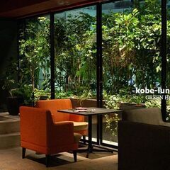 1月6日(金) 16：30 -  三宮＊GREEN HOUSE ...