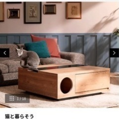 値下げ可　猫と暮らす机　ローテーブル