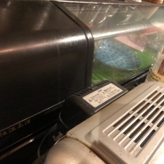お鮨のネタケース🍣✨不要になりました。