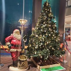 ❄☃🎅🎁クリスマスパーティーしましょ〜💕🎄🎂✨