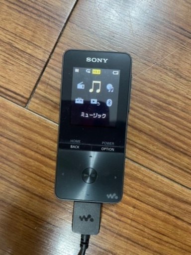 SONY ウォークマン Sシリーズ NW-S313