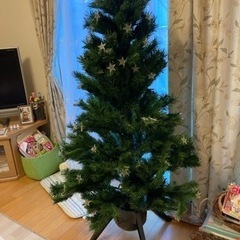 クリスマスツリー（ジャンク扱い）取りに来られる方限定