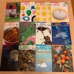 キンダーブック しぜん 2014年版 12冊セット