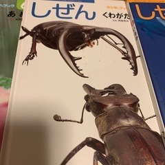 キンダーブック しぜん 2014年版 12冊セットの画像