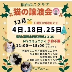 12/18姪浜譲渡会参加 - 里親募集