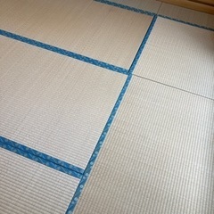 【無料】天然い草　畳　たたみ　3枚の画像