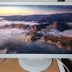 NEC PCモニター・ディスプレイ LCD194WXM-V 19型 【1/31まで】の画像