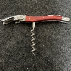 シャトーラギオールの画像