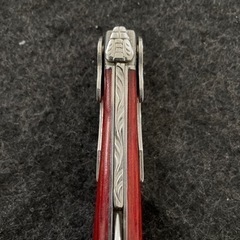 シャトーラギオールの画像