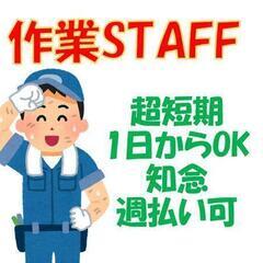 12/28★1日のみ★知念★作業スタッフ