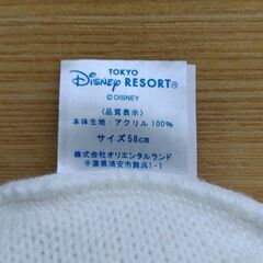 【値下げ500→400】【未着用】ドナルドダックニットキャップの画像