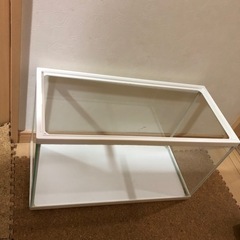 水槽　サイズ60