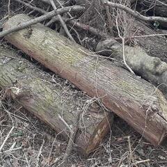 薪ストーブにいかがでしょうか？の画像