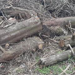 薪ストーブにいかがでしょうか？の画像