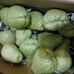 隼人瓜1個30円