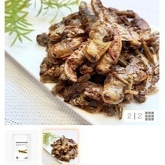 昆虫を美味しく料理してみませんか？？🐛✨ − 群馬県