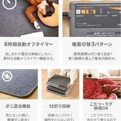 無料　ホットカーペット※右面しかつきません　2畳タイプの画像